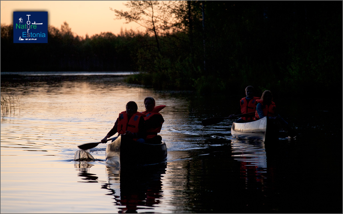 Nature Tours In Estonia canoeing 02 1